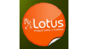 logo Lotus Producciones y Eventos