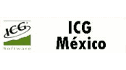 logo ICG Software