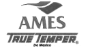 logo de Ames True Temper de Mexico