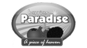 logo de Berries Paradise