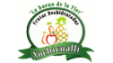 logo de Frutas Deshidratadas Xochicualli