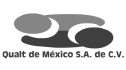 logo de qualt de mexico