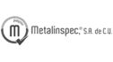 logo de metalinspec