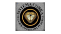 logo Sistema Cobra de Seguridad Privada en Carreteras