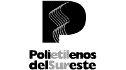 logo de polietilenos del sureste