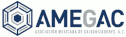 logo Asociación Mexicana de Galvanizadores
