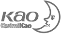 logo de quimikao