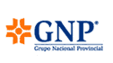 logo de Grupo Nacional Provincial