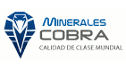 logo Cal Cobra