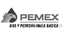 logo de Pemex Gas y Petroquimica Basica