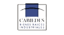 logo Cabiedes Bienes Raíces Industriales