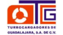 logo de Turbocargadores de Guadalajara