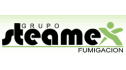 logo de Grupo Steamex