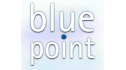 logo de Blue Point Salt