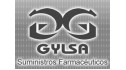 logo de Grupo Gylsa