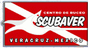 logo Servicios Subacuaticos del Golfo