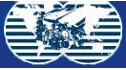 logo Central de Motores, Refacciones y Servicio Diesel