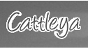 logo de Floreria Cattleya