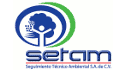 logo Seguimiento Técnico Ambiental