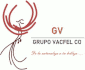 logo Grupo Vacfel CO