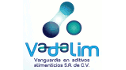 logo de Vanguardia en Aditivos Alimenticios
