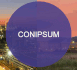 logo Conipsum