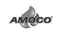 logo de Amoco Molecular Argentina