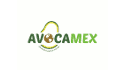 Avocamex, S. De P.R. de R.L.