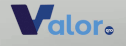 logo Valor Qro